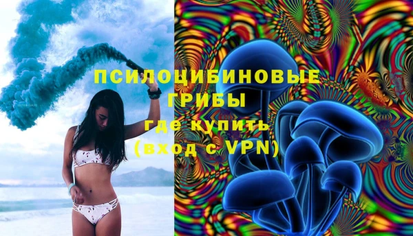 PSILOCYBIN Баксан